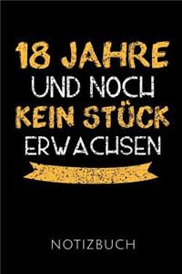 18 Jahre Notizbuch
