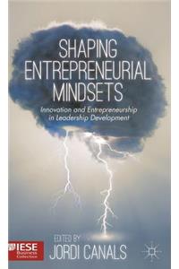 Shaping Entrepreneurial Mindsets