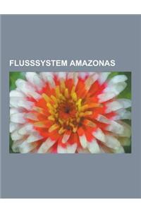 Flusssystem Amazonas