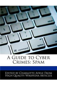 A Guide to Cyber Crimes