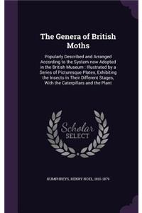 Genera of British Moths