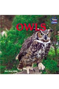 Owls
