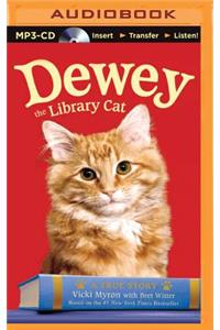 Dewey the Library Cat