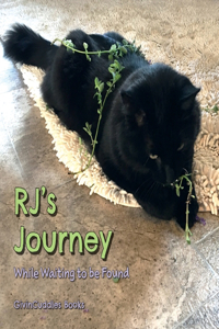 RJ's Journey