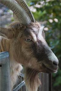 Billy Goat Animal Journal