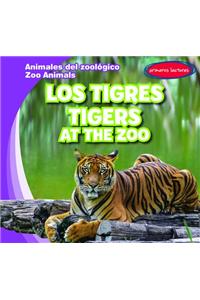 Los Tigres / Tigers at the Zoo