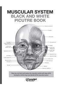 Muscular System Black and White Picture Book