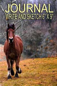 Journal - Write and Sketch 6