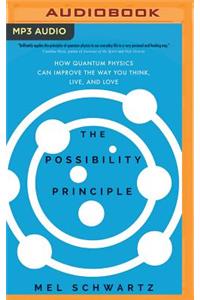 Possibility Principle