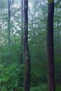 Journal Woods Foggy Morning