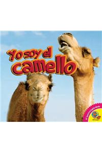 Yo Soy El Camello