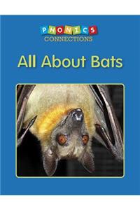 All about Bats