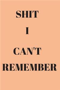 Shit I Can't Remember
