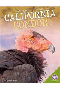 California Condor