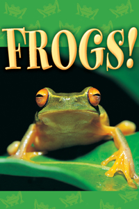 Frogs! (Pack of 25)