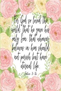 John 3