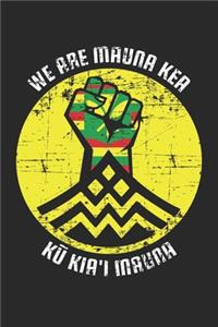 We Are Mauna Kea Ku Kia'i Mauna