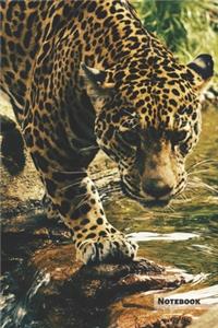 Leopard Notebook