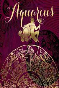 2020 Daily Planner Aquarius Symbol Astrology Wheel Zodiac Horoscope 388 Pages