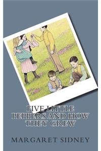 Five Little Peppers and How They Grew