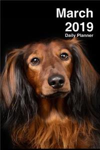 March 2019 Daily Planner