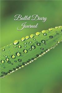 Bullet Diary Journal