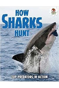 Shark! How Sharks Hunt