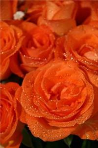 Orange Roses Covered in Morning Dew Journal