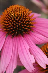 Pink Coneflower - Lined Notebook with Margins
