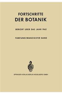 Bericht über das Jahr 1962