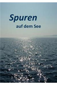 Spuren auf dem See