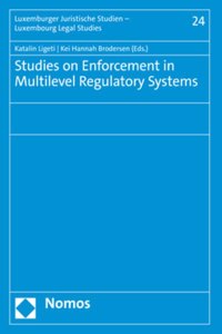 Studies on Enforcement in Multilevel Regulatory Systems