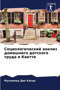 Социологический анализ домашнего детско&