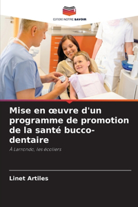 Mise en oeuvre d'un programme de promotion de la santé bucco-dentaire