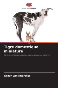 Tigre domestique miniature