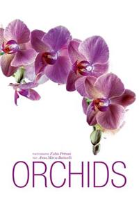 Orchids