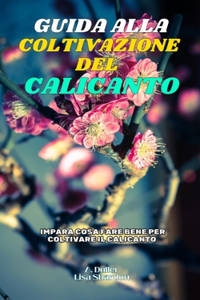 Guida alla Coltivazione del Calicanto