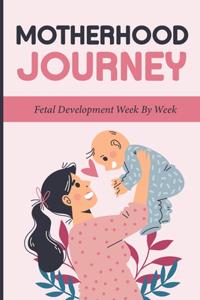 Motherhood Journey