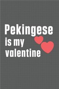 Pekingese is my valentine