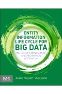 Entity Information Life Cycle for Big Data