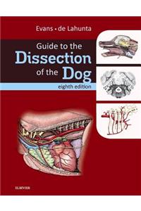Guide to the Dissection of the Dog