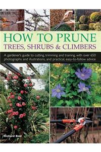 How to Prune Trees, Shrubs & Climbers