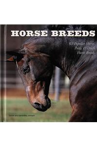 Horse Breeds