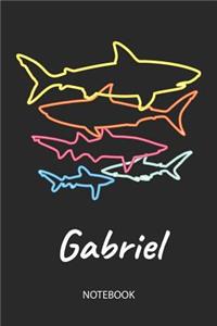 Gabriel - Notebook