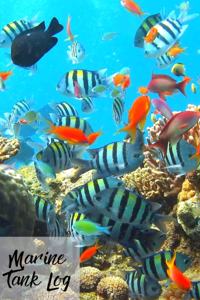 Marine Tank Log