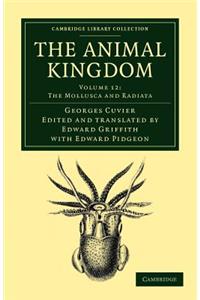 The Animal Kingdom