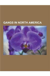 Gangs in North America: Gangs in Canada, Gangs in Mexico, Gangs in the United States, Bandidos, Hells Angels, Mara Salvatrucha, Latin Kings, S