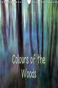 Colours of the Woods 2016