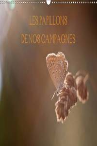 Papillons De Nos Campagnes 2017