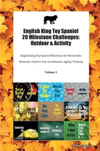 English King Toy Spaniel 20 Milestone Challenges
